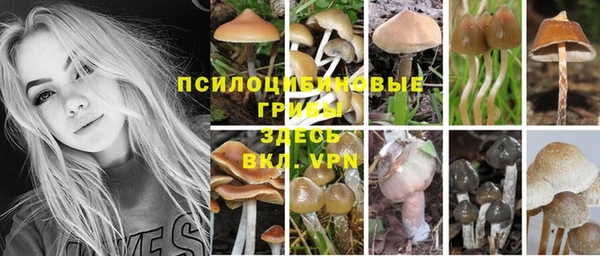 2c-b Верея